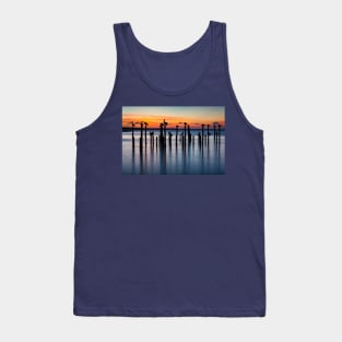 Pelican Silhouettes at Sunset Tank Top